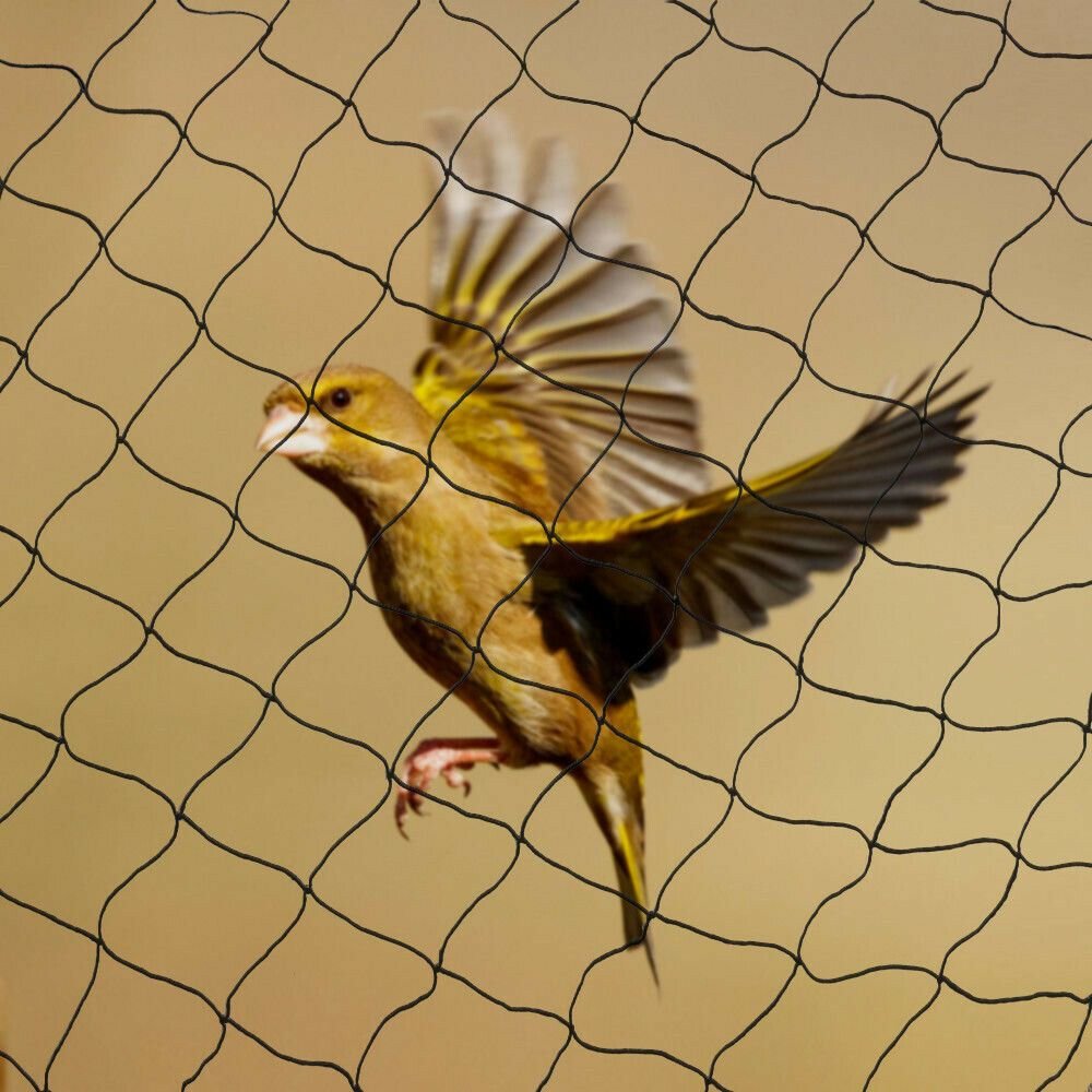 Bird Nets