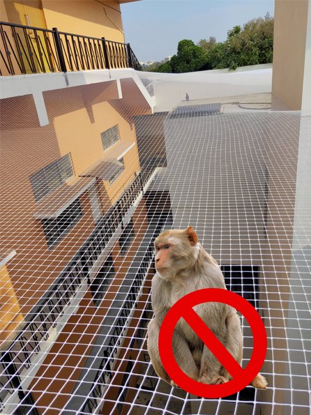 Monkey Nets